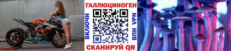 darknet состав  мега ссылки  Галлюциногенные грибы MAGIC MUSHROOMS  Кирс  хочу  